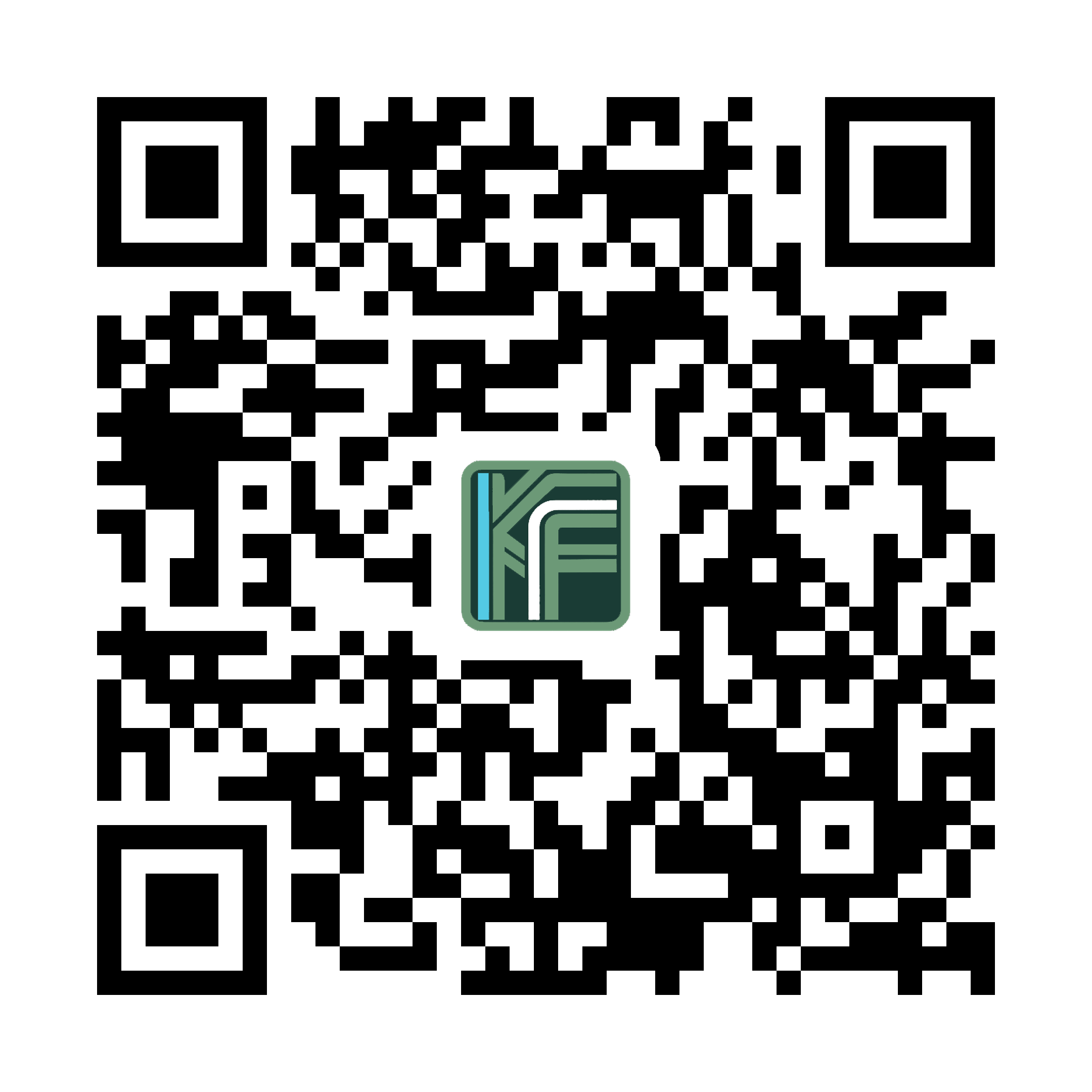 QR-Code zur sicheren Stripe-Spende für Klimafeld